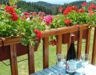 Holiday Cottage For Couples, Livradois Forest