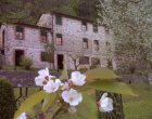 Foto 1 Cottage Casa Pedogna In The Green Tuscan Lands Of 