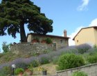 Foto 1 Toscana Romantisch Apt Salvia Met Zwembad Near Flo