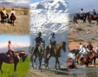 Foto 6 Paardrijvakantie In Andalusië