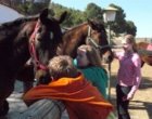 Foto 5 Paardrijvakantie In Andalusië