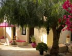 O Tartufo Bed And Breakfast Portugal