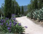 Foto 6 Chambres D'hôtes Le Domaine De Coussères